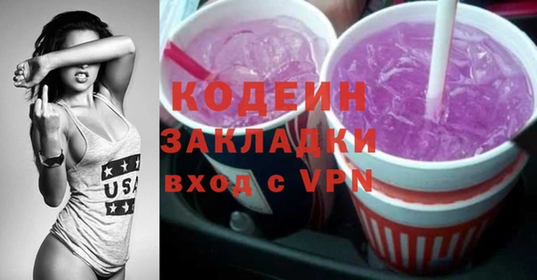 мдпв Кодинск