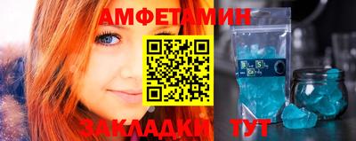 тгк Кингисепп